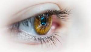 BACHELOR Optique en Alternance